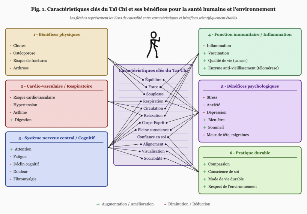 Caractéristiques clés du Taï Chi